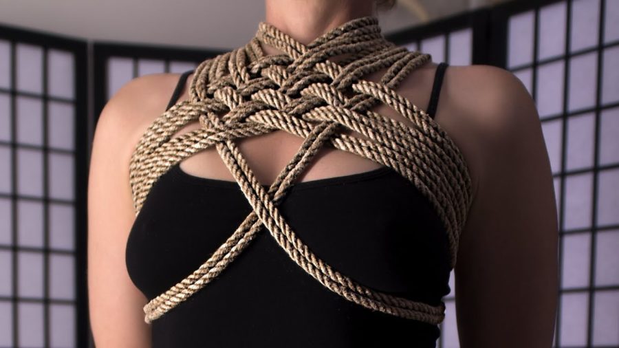Chinese rope bondage