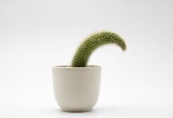 Упражнения Кегеля для мужчин: отзывы опробовавших