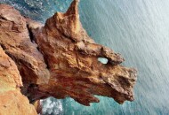 Натиформа – как природа создает красоту?