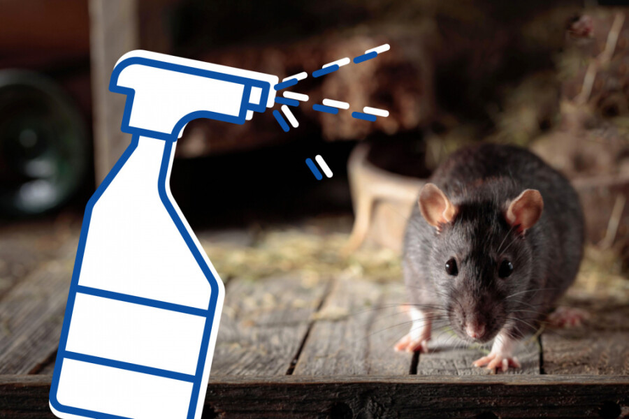 как избавиться от мышей