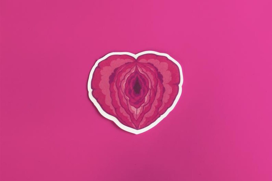 арт вагины