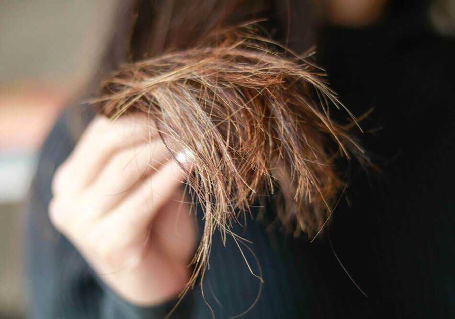 Почему секутся волосы