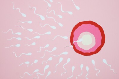 Муж кончает, сперма вытекает через некоторое время - Вопрос сексологу-андрологу - 03 Онлайн
