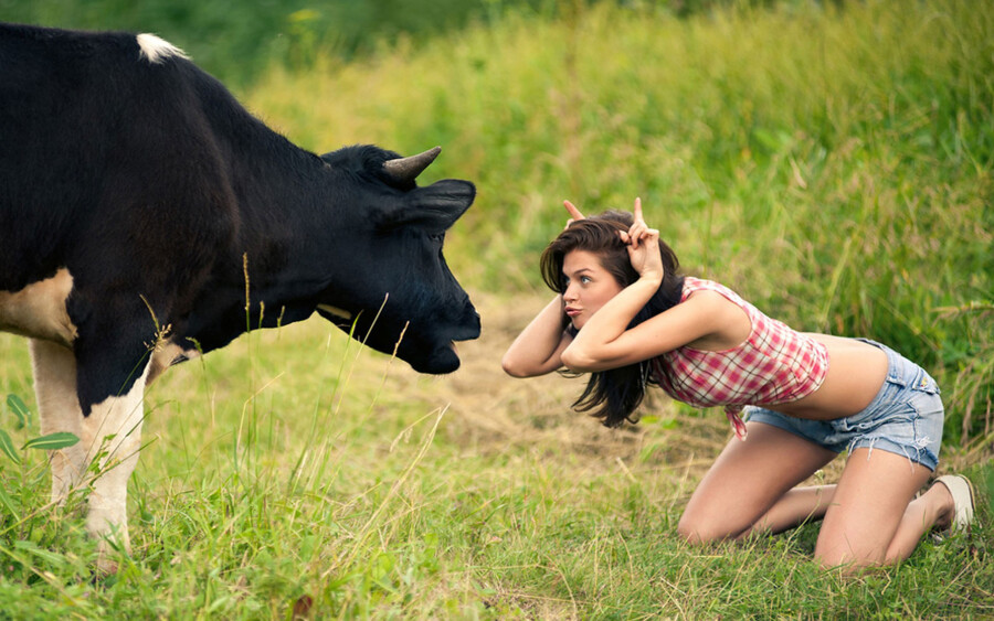 смешная девушка и корова