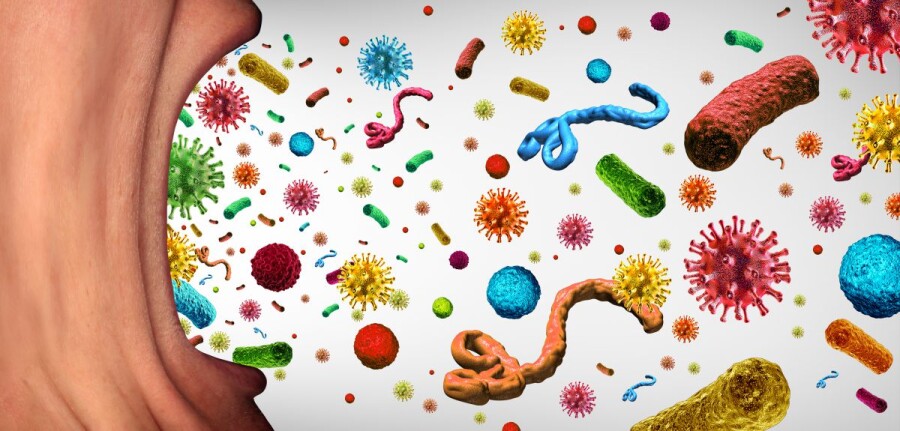 Общие у вас не только еда и постель, но и... микробы