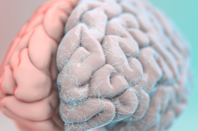 Пересадка мозга – чем опасна операция, и какие риски несет в себе?