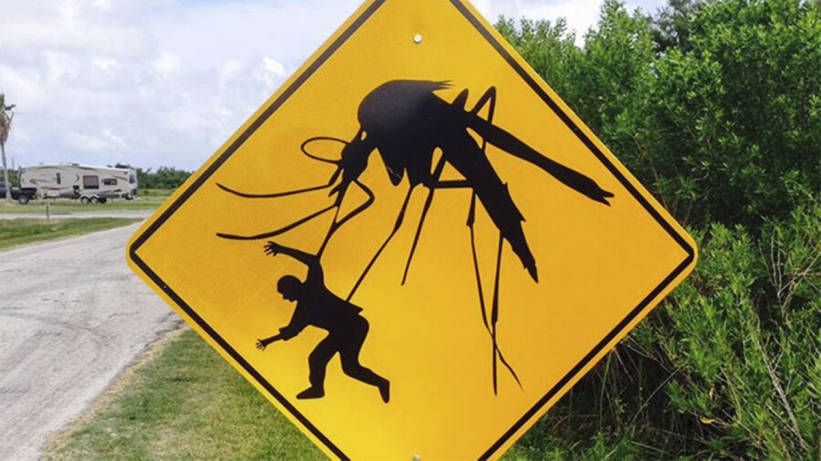 Почему комары кусают человека