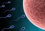 Сперма: что это такое, как она вырабатывается и из чего состоит эякулят