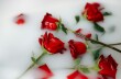 Что делать, если секс с любимым стал скучным