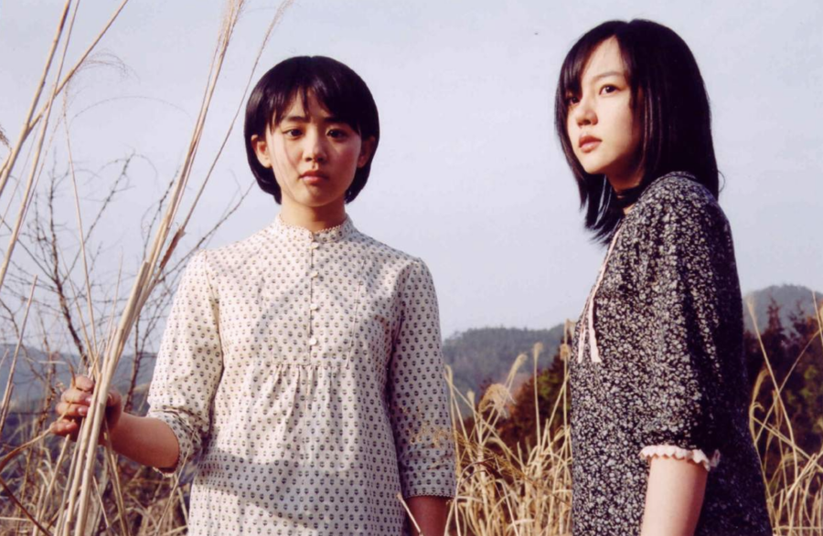 История двух сестер (Южная Корея, 2003)
