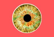 В чем причины дальтонизма и почему женщины становятся дальтониками?