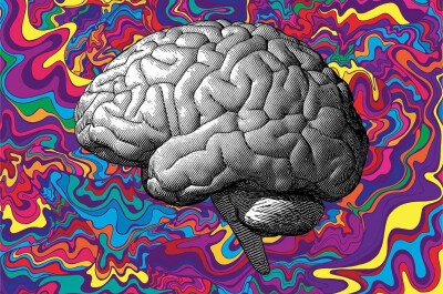 5 удивительных фактов о мозге и разума человека