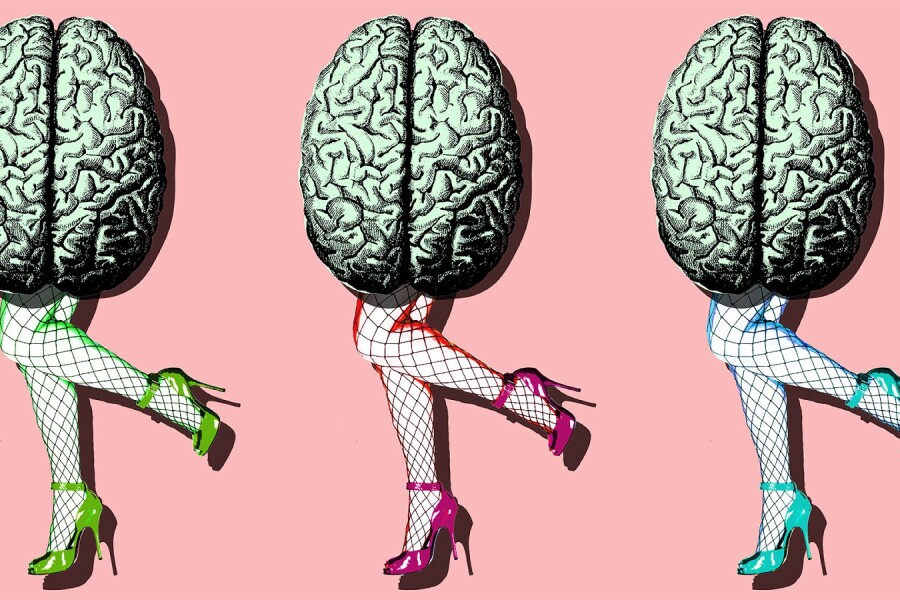 Мозг как сексуальный орган