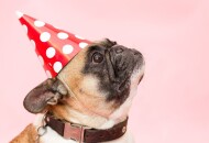 Как удивить гостей на свой День Рождения?