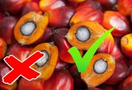 Исчезнет ли пальмовое масло из России?