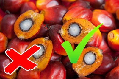 Исчезнет ли пальмовое масло из России?