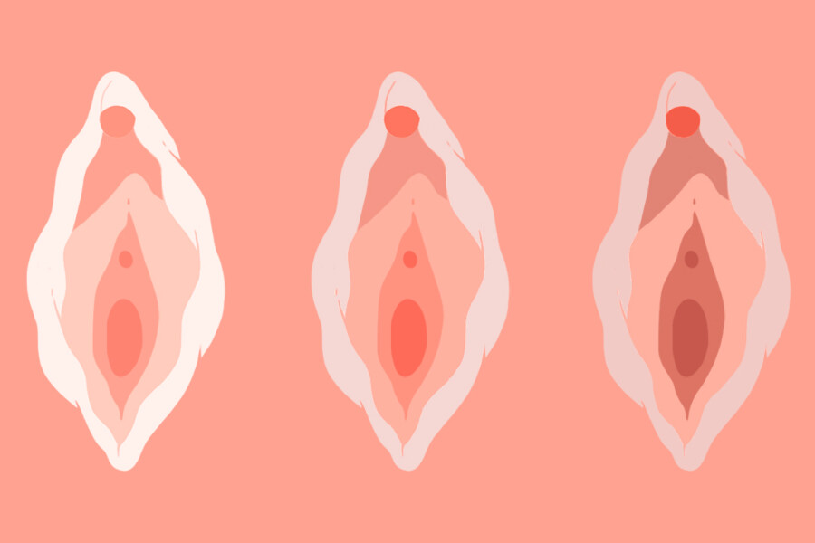 арты вагины