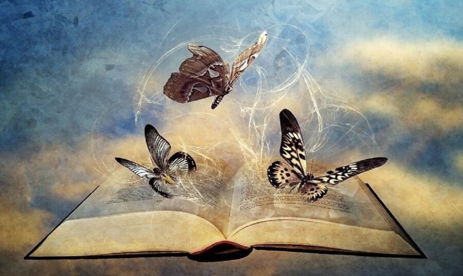 книга и бабочки
