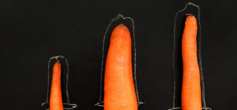 морковки разного диаметра
