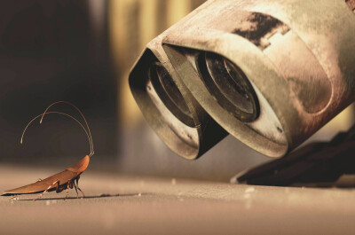 Почему тараканы вызывают страх у большинства людей
