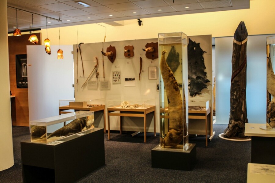 Исландский фаллологический музей