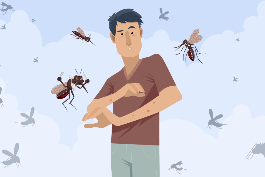 Почему комары кусают человека