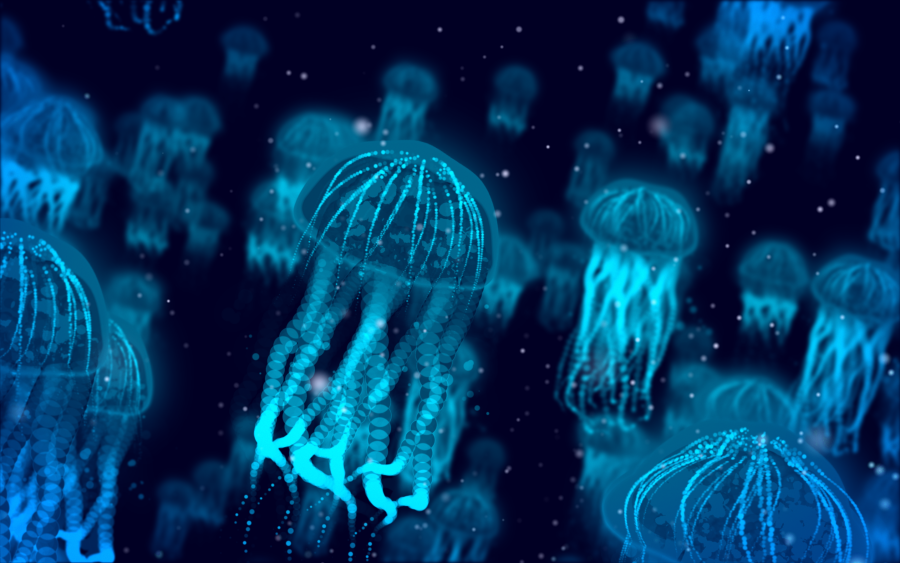фобия медуз