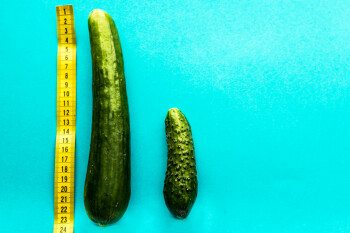 Ученые выяснили, у кого в мире самые длинные пенисы