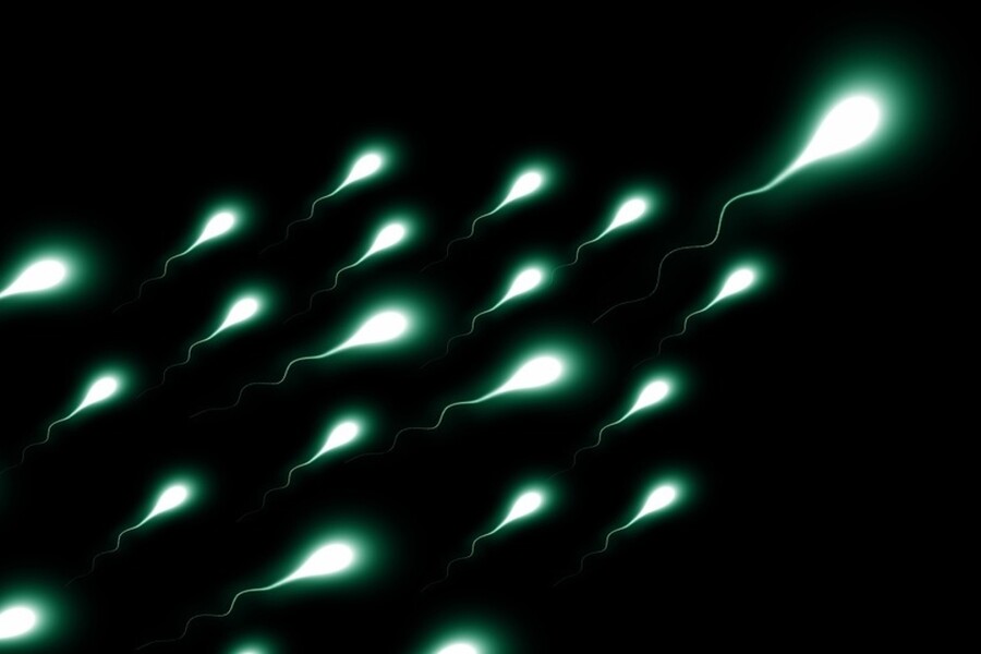 история спермы