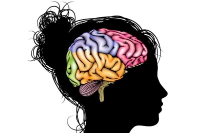Как секс влияет на головной мозг мужчин и женщин? Результаты удивляют!