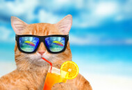 Хорошо отдохнуть — как пожелать человеку отличного отпуска?