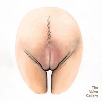 Разновидность вагин и пенисов