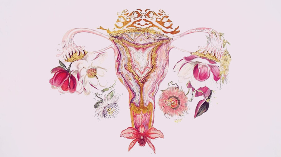 арт женских половых органов