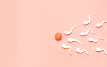 сколько живут сперматозоиды на салфетке | Дзен