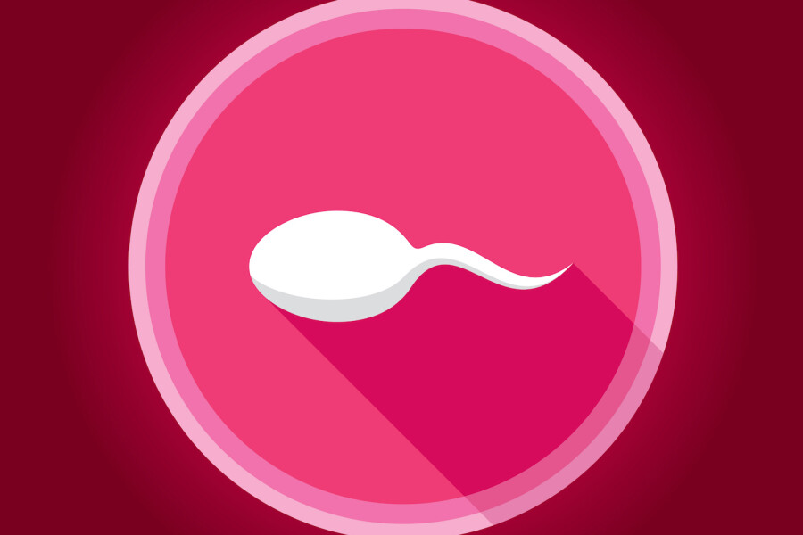 арт маленького сперматозоида