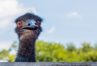 Что написать девушке на сайте знакомств?