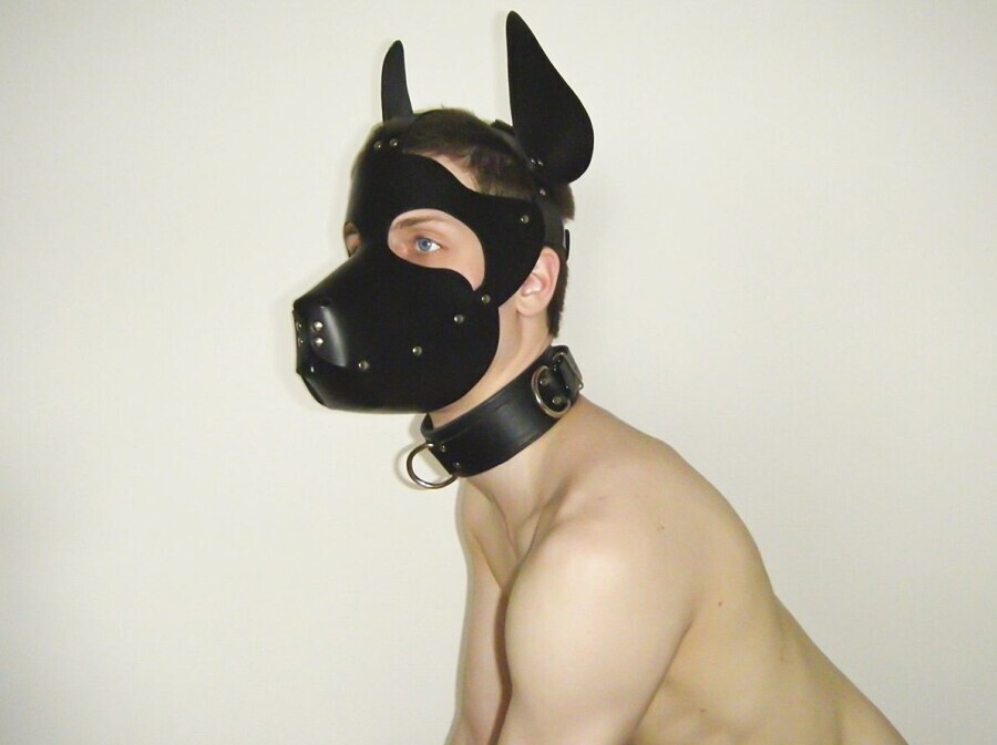 парень в маске собаки