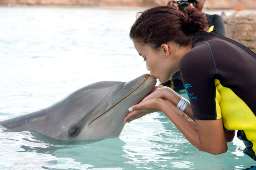 девушка и дельфин