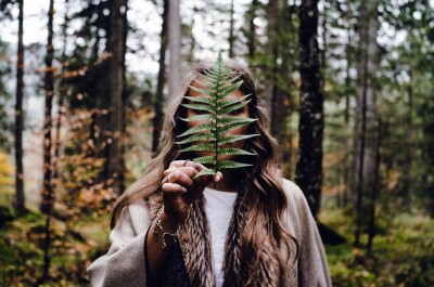 Лес – место успокоения и вдохновения или предмет фобии?