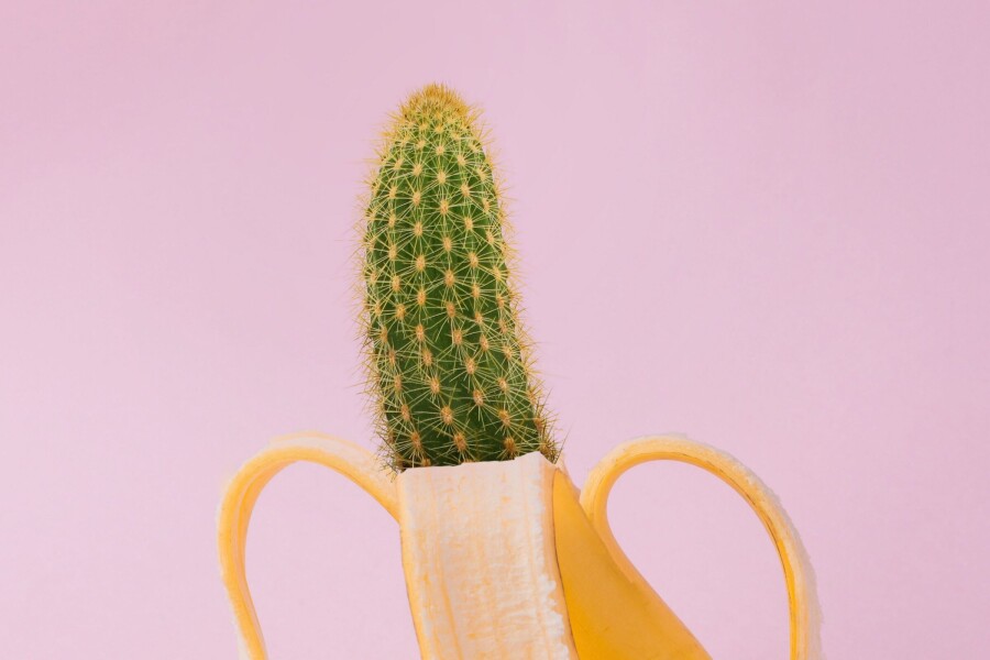 кактус в банане