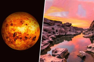 В каких пределах колеблется суточная температура на планете Венера?