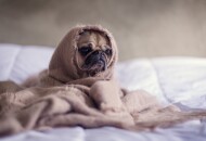 Причины разрушения брака: 5 косяков примерной семьи