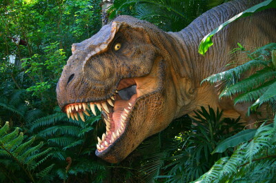 Почему динозавров считают мифическими животными – тайны существования ящеров