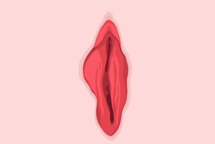 арт вагины