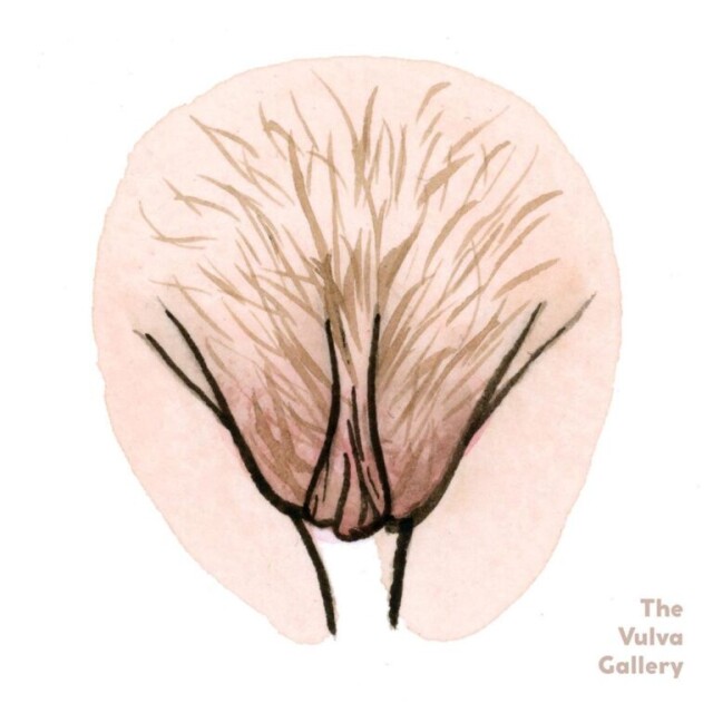 виды вагины