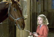 Лучшие душевные фильмы про лошадей списком