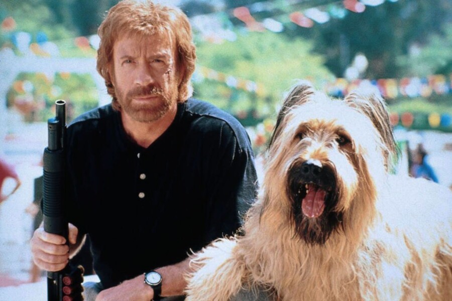 Главная собака (США, 1995)