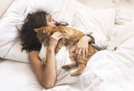 5 причин совместного сна кошек с хозяевами