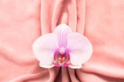 Можно ли «перетереть» клитор: сколько стимуляции — это много