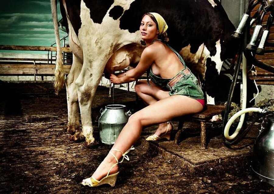 женщина и корова